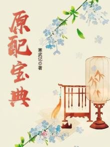 《原配宝典》
